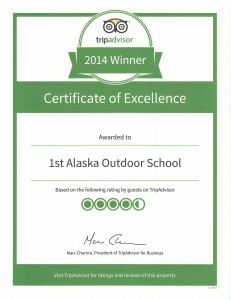 2014 TripAdvisor