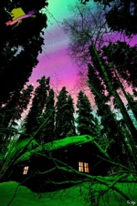Northern Lights Tours Alaska
